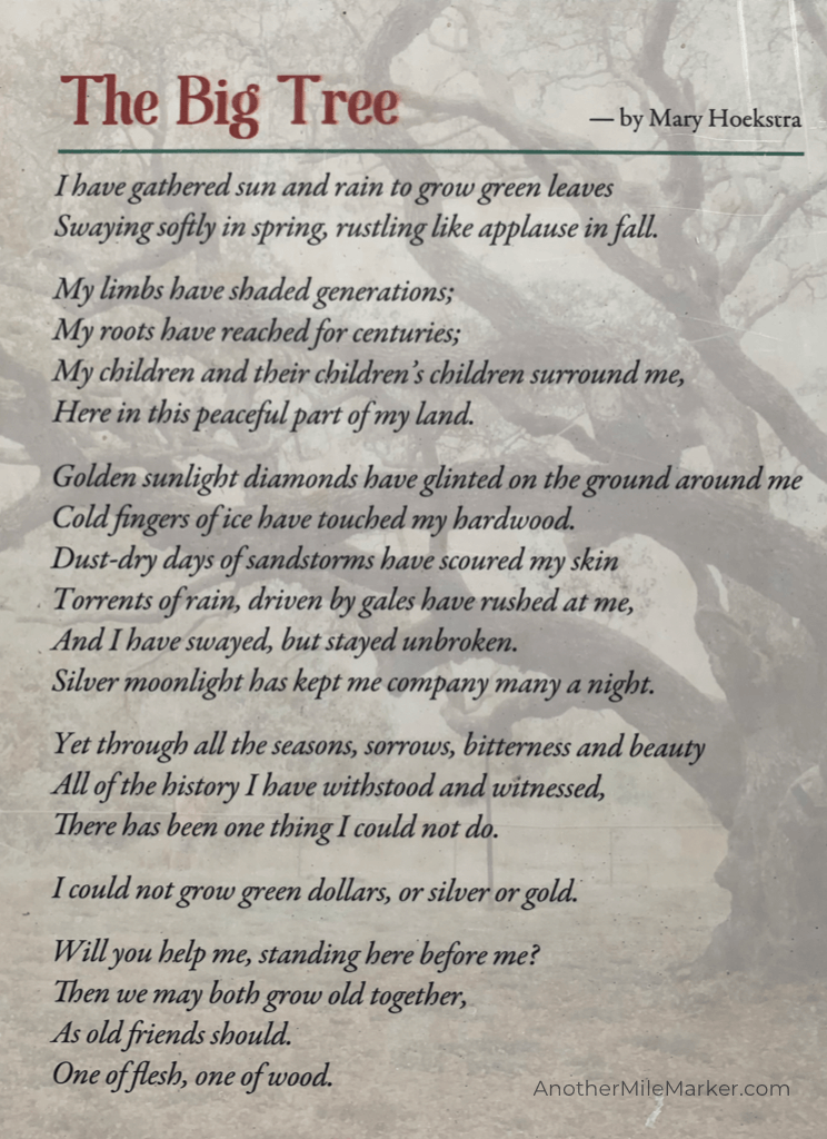 The Big Tree Poem by Mary Hoekstra