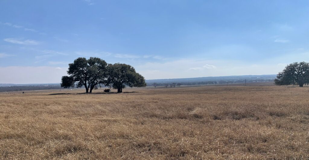 One of the beautiful views on LBJ’s ranch